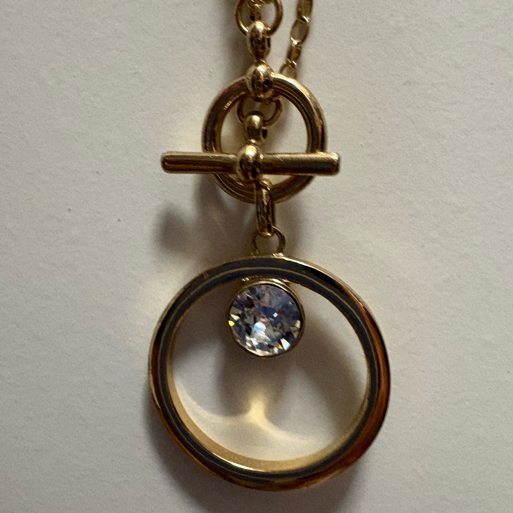 Ann Taylor Circle Necklace